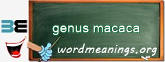 WordMeaning blackboard for genus macaca